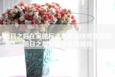 明日之后在家园标志上添加快照如何做(明日之后家园安全性模拟)