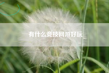 有什么竞技网游好玩