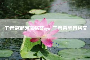 王者荣耀阿离铭文nga_王者荣耀肉铭文
