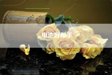 电池好帮手