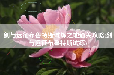 剑与远征布鲁特斯试炼之地通关攻略(剑与远征布鲁特斯试练)