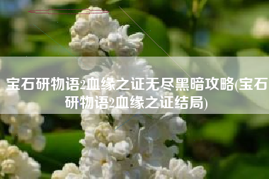 宝石研物语2血缘之证无尽黑暗攻略(宝石研物语2血缘之证结局)