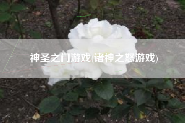 神圣之门游戏(诸神之怒游戏)