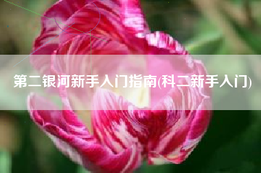 第二银河新手入门指南(科二新手入门)