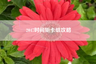 2047时间矩卡组攻略