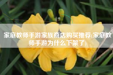 家庭教师手游家族商店购买推荐(家庭教师手游为什么下架了)