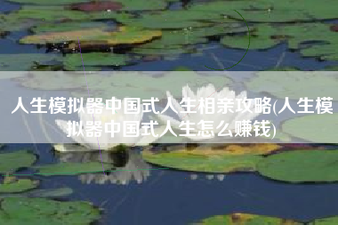 人生模拟器中国式人生相亲攻略(人生模拟器中国式人生怎么赚钱)