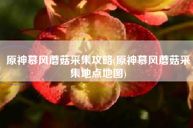 原神慕风蘑菇采集攻略(原神慕风蘑菇采集地点地图)
