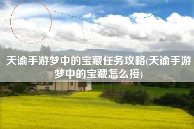 天谕手游梦中的宝藏任务攻略(天谕手游梦中的宝藏怎么接)
