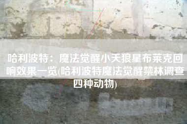 哈利波特：魔法觉醒小天狼星布莱克回响效果一览(哈利波特魔法觉醒禁林调查四种动物)