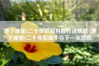 地下城堡3二十年后新月郡打法攻略 (地下城堡3二十年后蛮牛谷下一张地图)