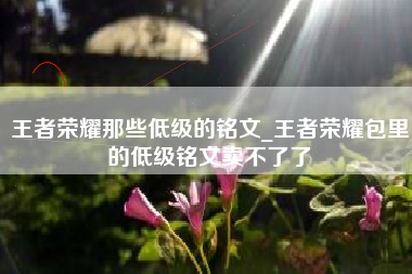 王者荣耀那些低级的铭文_王者荣耀包里的低级铭文卖不了了