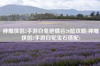 神雕侠侣2手游白兔绝情谷20层攻略(神雕侠侣2手游白驼宝石搭配)