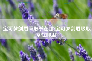 宝可梦剑盾吸取拳在哪(宝可梦剑盾吸取拳在哪里)