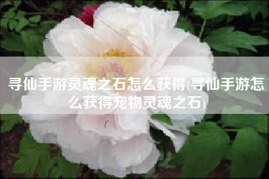 寻仙手游灵魂之石怎么获得(寻仙手游怎么获得宠物灵魂之石)