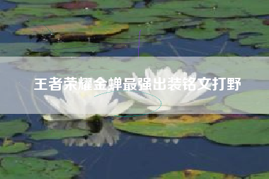 王者荣耀金蝉最强出装铭文打野