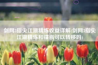 剑网3指尖江湖精炼收益详解(剑网3指尖江湖精炼和镶嵌可以转移吗)