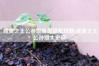 咸鱼之王公孙瓒鱼灵搭配攻略(咸鱼之王公孙瓒太史慈)