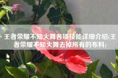 王者荣耀不知火舞各项技能详细介绍(王者荣耀不知火舞去掉所有的布料)
