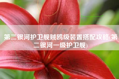第二银河护卫舰贼鸥级装置搭配攻略(第二银河一级护卫舰)