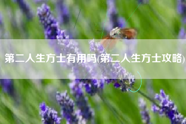 第二人生方士有用吗(第二人生方士攻略)