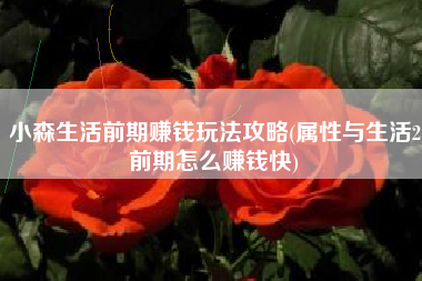 小森生活前期赚钱玩法攻略(属性与生活2前期怎么赚钱快)