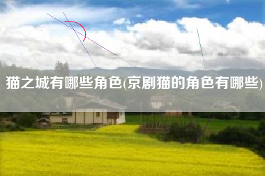 猫之城有哪些角色(京剧猫的角色有哪些)