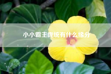 小小霸主庞统有什么缘分