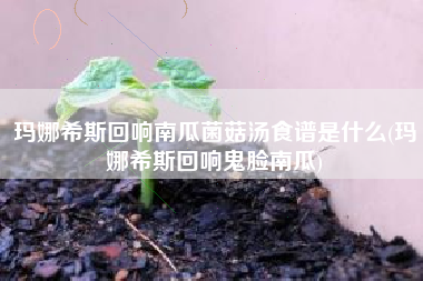 玛娜希斯回响南瓜菌菇汤食谱是什么(玛娜希斯回响鬼脸南瓜)