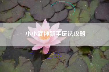 小小武神新手玩法攻略