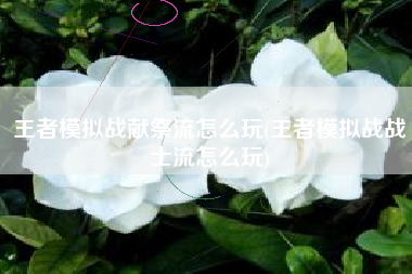 王者模拟战献祭流怎么玩(王者模拟战战士流怎么玩)