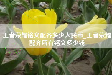 王者荣耀铭文配齐多少人民币_王者荣耀配齐所有铭文多少钱