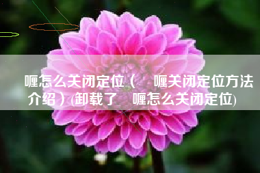 啫喱怎么关闭定位（啫喱关闭定位方法介绍）(卸载了啫喱怎么关闭定位)