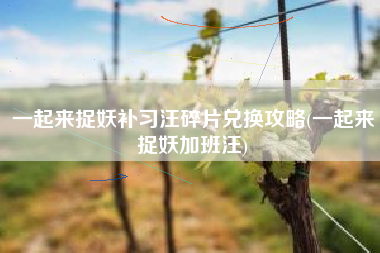 一起来捉妖补习汪碎片兑换攻略(一起来捉妖加班汪)