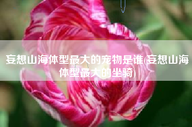 妄想山海体型最大的宠物是谁(妄想山海体型最大的坐骑)