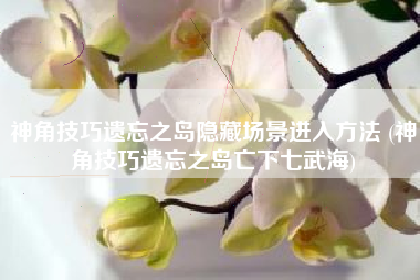 神角技巧遗忘之岛隐藏场景进入方法 (神角技巧遗忘之岛亡下七武海)