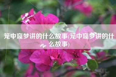 笼中窥梦讲的什么故事(笼中窥梦讲的什么故事)