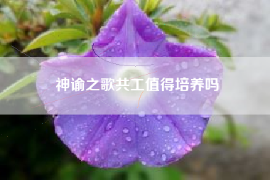 神谕之歌共工值得培养吗
