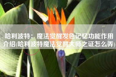 哈利波特：魔法觉醒发色记忆功能作用介绍(哈利波特魔法觉醒大师之证怎么弄)