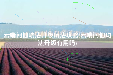 云端问仙功法升级玩法攻略(云端问仙功法升级有用吗)