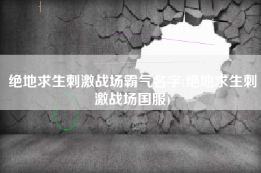 绝地求生刺激战场霸气名字(绝地求生刺激战场国服)