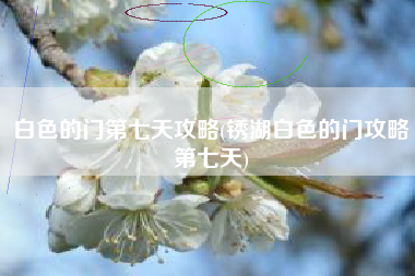 白色的门第七天攻略(锈湖白色的门攻略第七天)