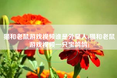 猫和老鼠游戏视频谁是外星人(猫和老鼠游戏视频一只宝鸽鸽)
