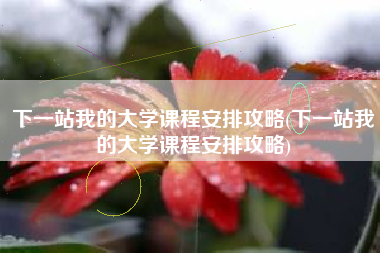 下一站我的大学课程安排攻略(下一站我的大学课程安排攻略)