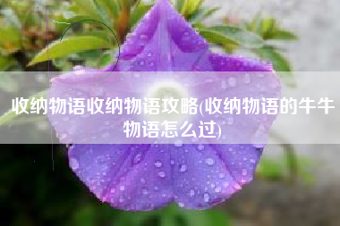 收纳物语收纳物语攻略(收纳物语的牛牛物语怎么过)
