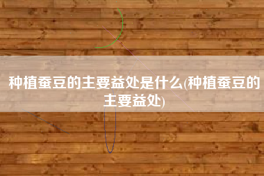 种植蚕豆的主要益处是什么(种植蚕豆的主要益处)