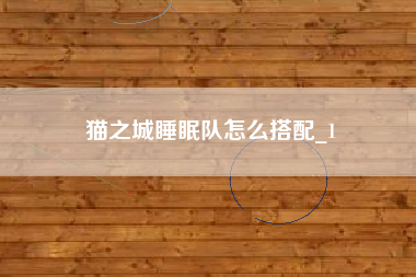 猫之城睡眠队怎么搭配_1