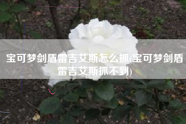 宝可梦剑盾雷吉艾斯怎么抓(宝可梦剑盾雷吉艾斯抓不到)