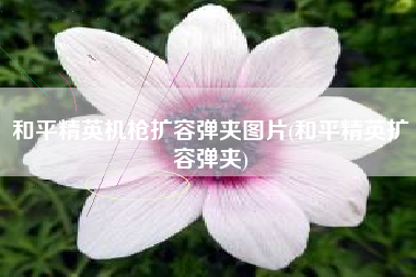 和平精英机枪扩容弹夹图片(和平精英扩容弹夹)