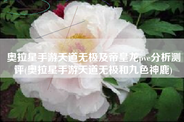 奥拉星手游天道无极及帝皇龙pve分析测评(奥拉星手游天道无极和九色神鹿)
